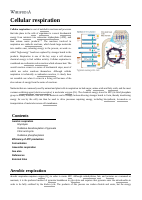 Cellular_respiration.pdf
